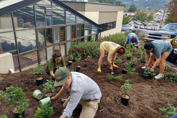 Sorority Plants Pollinator Garden at Appalachian Panhellenic Hall